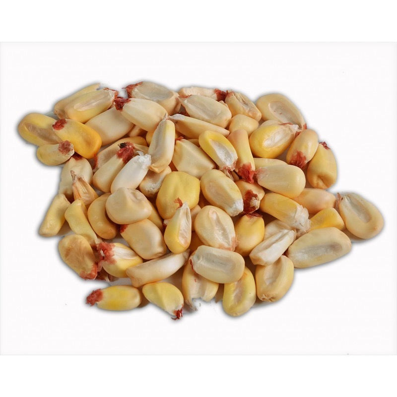 El Plebeyo Cancha corn 500g – Cachina Market